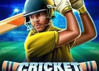 Cricket Heroes игра